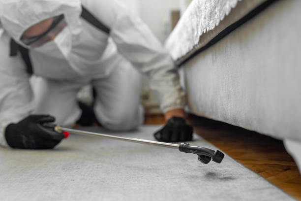 Professional Pest Control technician working in Hebron, IL