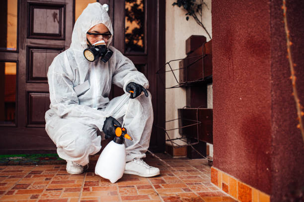 Reliable Cockroach Control contractor in Hebron, IL by Nex Pest Control
